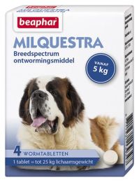 667103934_Milquestra_hond_4st.jpg