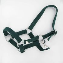 884603543GR_Paardenhalster_cob_groen.jpg