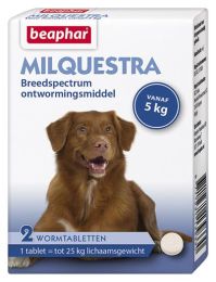 980103933_Milquestra_hond_2st.jpg
