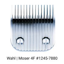 109805880_Wahl_kopje_no4F_1245-5880.jpg