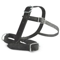 161603691_Stierenhalster_zwart_leder_38mm.jpg
