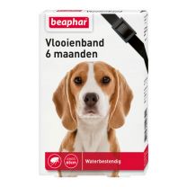 267102316_Vlooienband_6mnd_Hond_Zwart.jpg