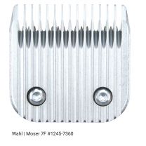 300807960_Wahl_kopje_no7F_1245-7360.jpg