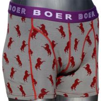 325960_bboer_boxershort_horse2.jpg