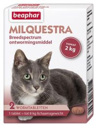 336103930_milquestra_kat.jpg