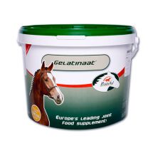 388106839_PrimeVal_Gelatinaat_Paard_2kg.jpg