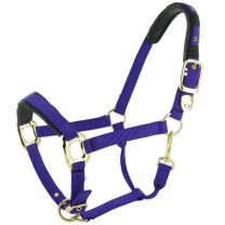 443603041PA_Paardenhalster_luxe_Cob_paars.jpg