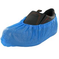 487Schoenovertrek_1.jpg