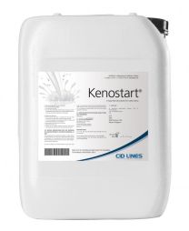 548301535_301023_301546_CID_KENOSTART.jpg