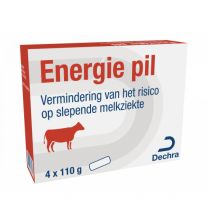 564107624_Energie-Pil-4st_5701170337624.jpg