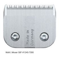682807300_Wahl_kopje_no50F_1245-7300.jpg