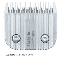 691807931_Wahl_kopje_no8F_1245-7931.jpg