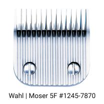 723805870_Wahl_kopje_no5F_1245-5870.jpg