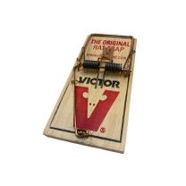 736307205_Victor-rattenval_3664715028567.jpg