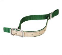 816602152GR_Schapennekriem_nylon_leer_versterkt-groen_3700393922169.jpg