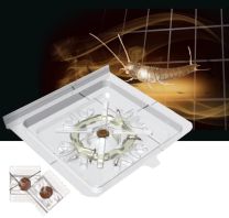 841301101_S-Trap_zilvervis_papiervis.jpg