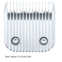 879807960_Wahl_kopje_no7F_1245-7360.jpg