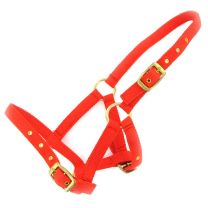 879Veulenhalster_verstelbaar_rood1_1.jpg