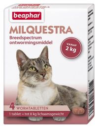 978103931_milquestra_kat_4st.jpg