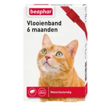 980102317_Vlooienband_6mnd_Kat_Rood.jpg